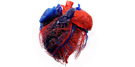 von Horst Heart Cast Photo 15